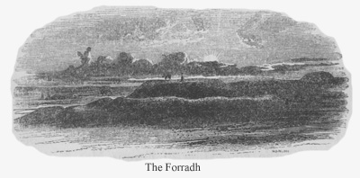 The Forradh