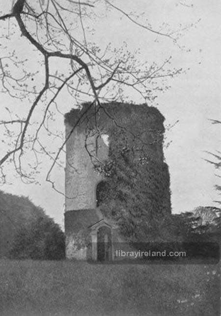 The Tower of Shane's Castle, Antrim
