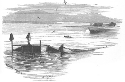 Catching Salmon with a Seine