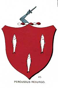 O’Kane, Kain, or O’Cahan family crest